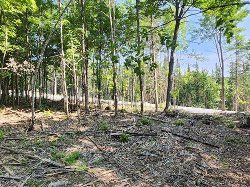 Terre/Terrain - Rue Du Sommet-De-La-Rivière, Sainte-Marguerite-Du-Lac-Masson, QC 