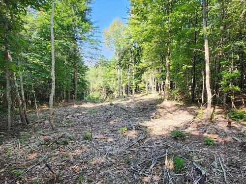 Terre/Terrain - Rue Du Sommet-De-La-Rivière, Sainte-Marguerite-Du-Lac-Masson, QC 