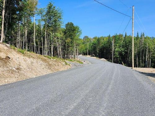 Rue - Rue Du Sommet-De-La-Rivière, Sainte-Marguerite-Du-Lac-Masson, QC 