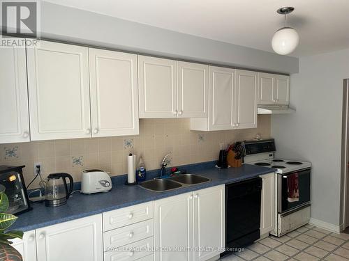 205 Parkway Avenue, Georgina (Keswick South), ON - Indoor Photo Showing Kitchen With Double Sink