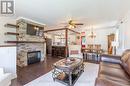 259 Clarke Drive, Peterborough, ON  - Indoor Photo Showing Living Room With Fireplace 