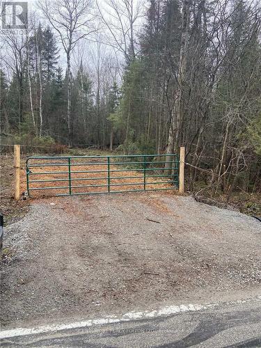 Lot 18 Weir'S Acres, Georgina, ON 