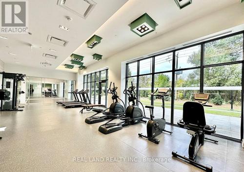 1515 - 188 Fairview Mall Drive, Toronto (Don Valley Village), ON - Indoor Photo Showing Gym Room