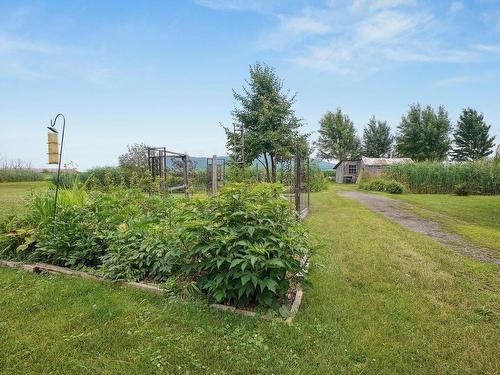 Garden - 3855 Rg Des Trente, Saint-Jean-Baptiste, QC - Outdoor With View