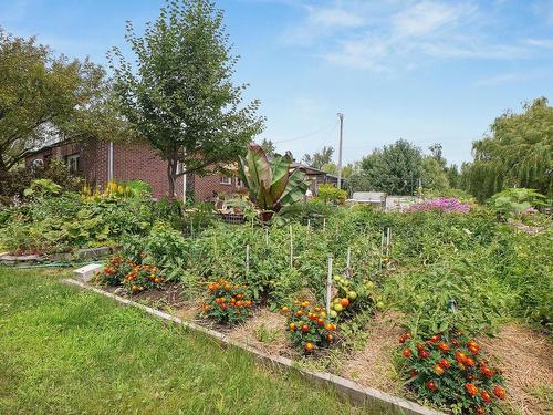 Jardin - 3855 Rg Des Trente, Saint-Jean-Baptiste, QC - Outdoor