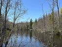 Waterfront - Ch. De La Pineraie, Sainte-Anne-Des-Lacs, QC 