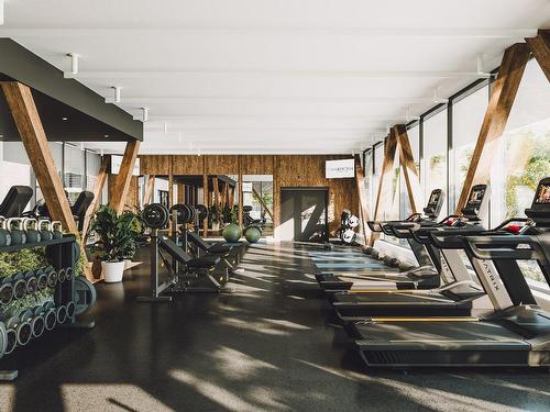 Exercise room - 215-808 2E Avenue, Montréal (Lachine), QC - Indoor Photo Showing Gym Room