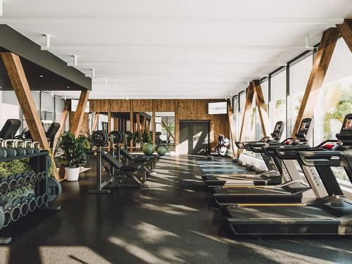 Exercise room - 109-808 2E Avenue, Montréal (Lachine), QC - Indoor Photo Showing Gym Room