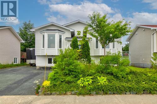 52 Firdale Drive, St. John'S, NL - Outdoor