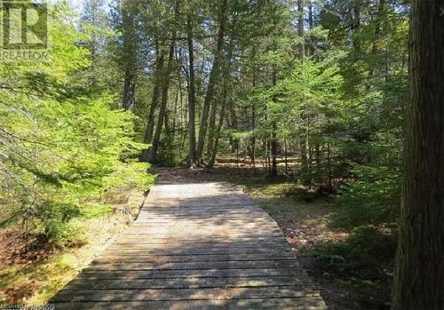 your private use trail system - 56 Trillium Crossing, Northern Bruce Peninsula, ON - Outdoor With View