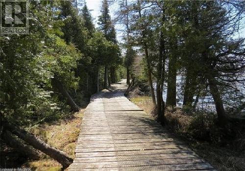 your private use trail system - 56 Trillium Crossing, Northern Bruce Peninsula, ON - Outdoor