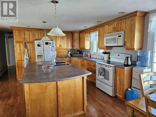 117 Main Road, Fogo Island(Tilting), NL - Indoor Photo Showing Kitchen With Double Sink