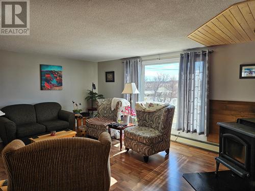 117 Main Road, Fogo Island(Tilting), NL - Indoor Photo Showing Living Room With Fireplace