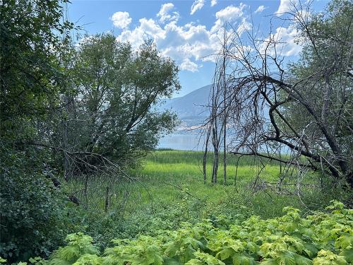 Part Of Ls 4 Sunnybrae Canoe Point Road, Tappen, BC - Outdoor With View