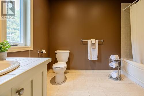 73 Mountain View Drive, Humber Valley Resort, NL - Indoor Photo Showing Bathroom