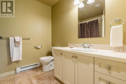 73 Mountain View Drive, Humber Valley Resort, NL - Indoor Photo Showing Bathroom