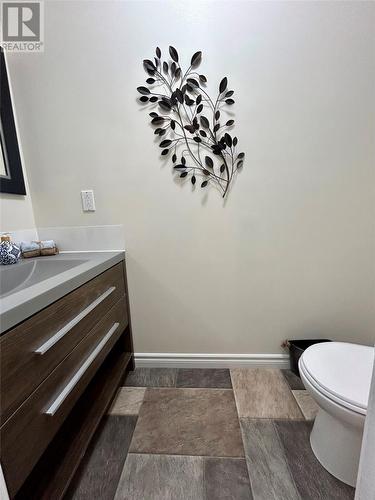 14 Cove Road, Comfort Cove, NL - Indoor Photo Showing Bathroom