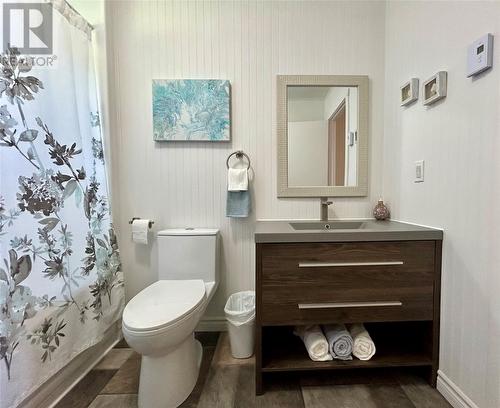 14 Cove Road, Comfort Cove, NL - Indoor Photo Showing Bathroom