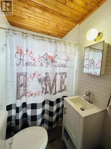 29 Main Road, Pleasantview, NL - Indoor Photo Showing Bathroom