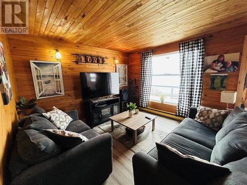 29 Main Road, Pleasantview, NL - Indoor Photo Showing Living Room