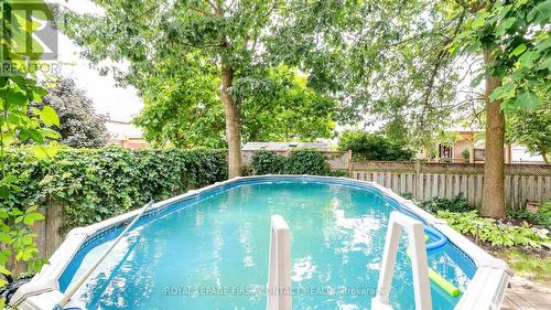 31 Allsop Crescent, Barrie (Holly), ON - Outdoor With Above Ground Pool With Backyard