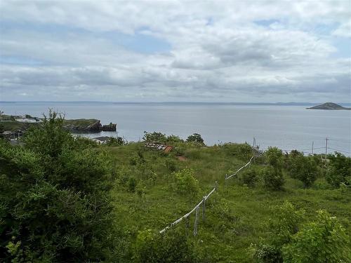 0 Lighthouse Road, Port De Grave, NL 