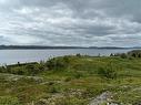 0 Lighthouse Road, Port De Grave, NL 