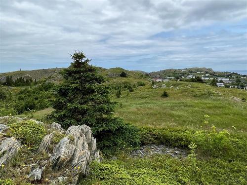 0 Lighthouse Road, Port De Grave, NL 