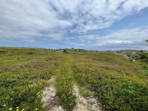 0 Lighthouse Road, Port De Grave, NL 