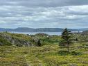 0 Lighthouse Road, Port De Grave, NL 