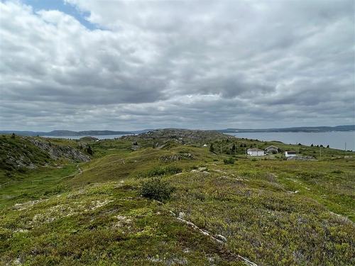 0 Lighthouse Road, Port De Grave, NL 