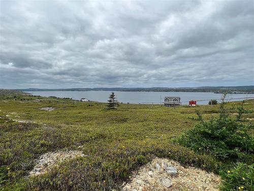 0 Lighthouse Road, Port De Grave, NL 