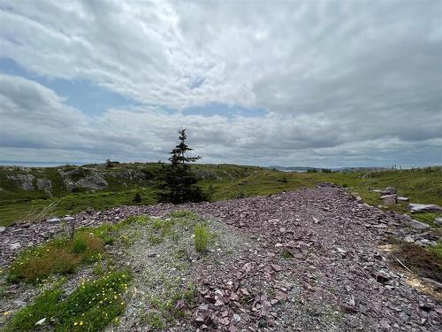 0 Lighthouse Road, Port De Grave, NL 