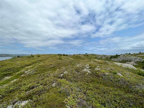 0 Lighthouse Road, Port De Grave, NL 