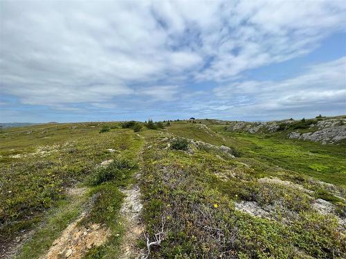 0 Lighthouse Road, Port De Grave, NL 