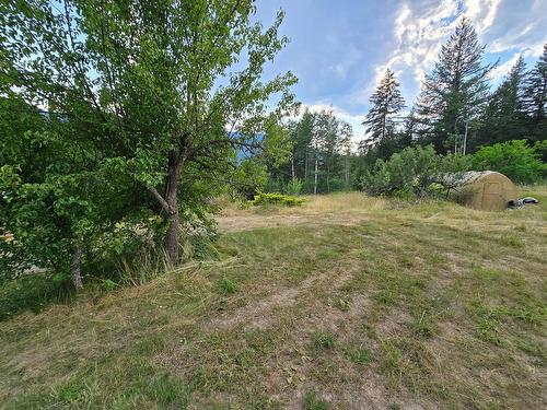 2449 Lloyd Road, Clearwater, BC - Outdoor