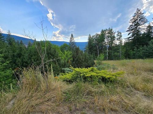 2449 Lloyd Road, Clearwater, BC - Outdoor With View