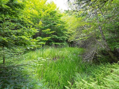 Osborne Road, New Germany, NS 