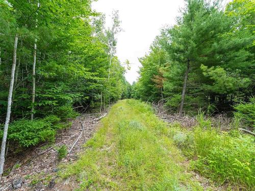 Osborne Road, New Germany, NS 