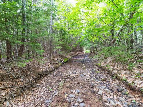 Osborne Road, New Germany, NS 