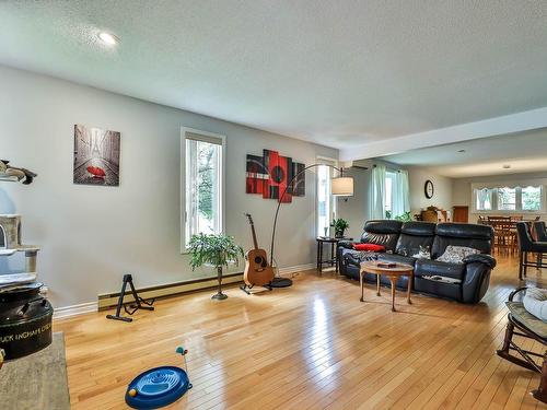 Living room - 429 Rue De La Scierie, Gatineau (Buckingham), QC - Indoor Photo Showing Living Room