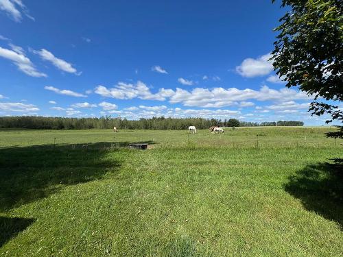 Backyard - 248 Ch. Des Bouleaux, Nédélec, QC 