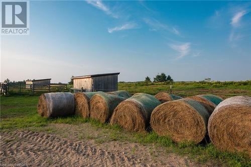 2264 Chiswick Line, Powassan, ON - Outdoor With View