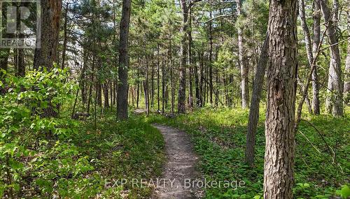 Pinery Provincial Park - 9928 Eric Street, Lambton Shores, ON 