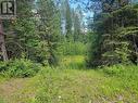 Lot 12 Blue Ridge Road, Quesnel, BC 