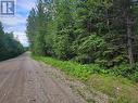 Lot 12 Blue Ridge Road, Quesnel, BC 