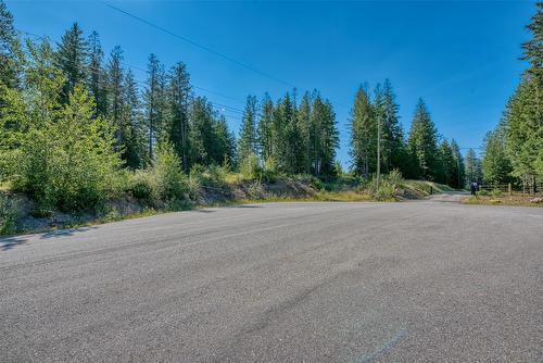 Lot 10 Recline Ridge Road, Tappen, BC 