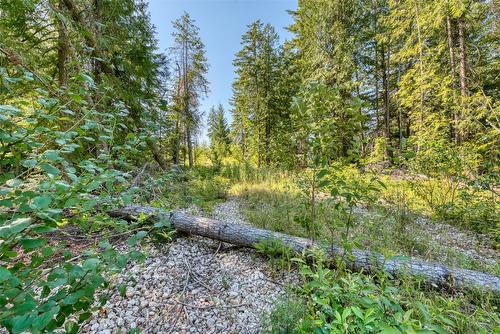 Lot 10 Recline Ridge Road, Tappen, BC 