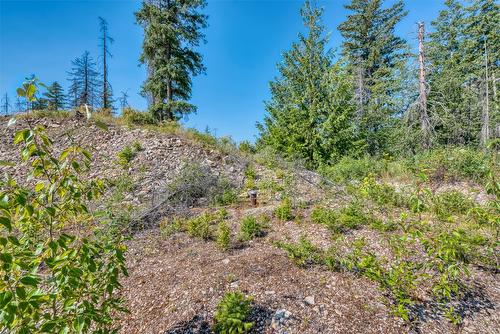 Lot 10 Recline Ridge Road, Tappen, BC 