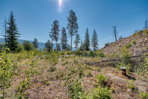 Lot 10 Recline Ridge Road, Tappen, BC 